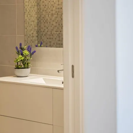 Contemporary C By Homie