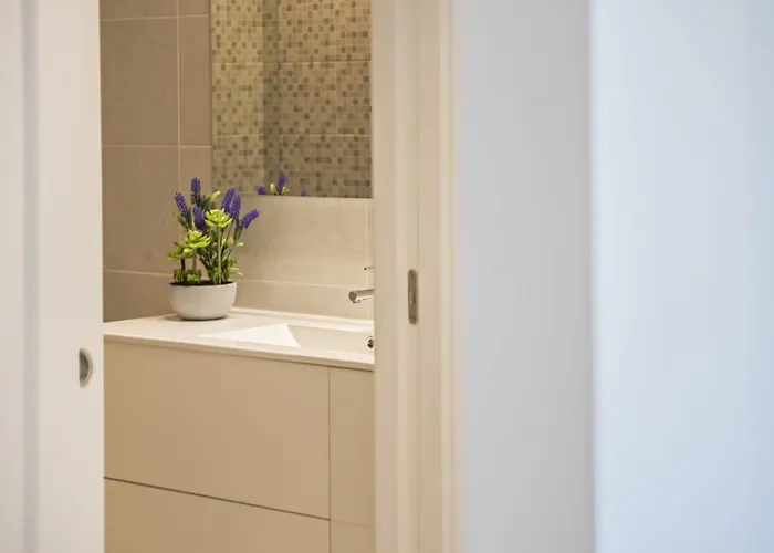 Contemporary C By Homie